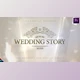 Download Wedding Story (Videohive 37829653)