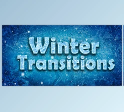 Download Winter Transitions (Videohive 9751724) - AE Project