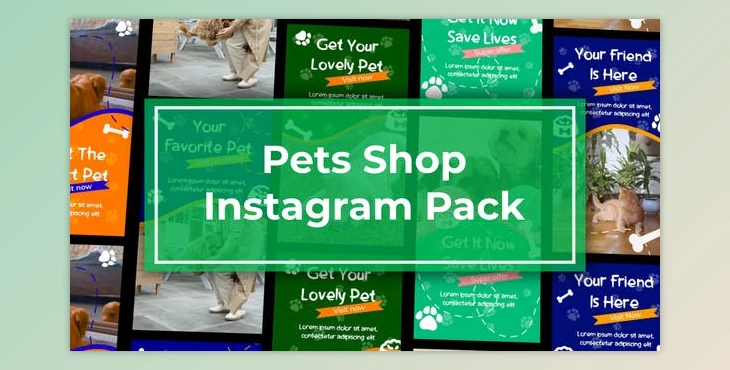 Download Pets Shop Instagram Reels (Videohive 47465669) - AE Project