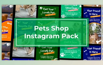Download <span class='badge badge-warning'>Pets</span> Shop Instagram Reels (Videohive 47465669) - AE Project