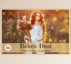 Download Bokeh Dust Photoshop Overlay Digital Art