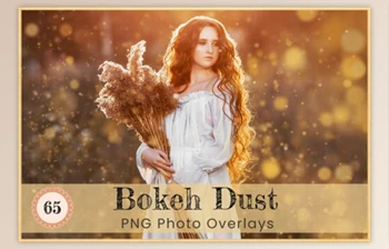 Download Bokeh Dust Photoshop <span class='badge badge-warning'>Overlay</span> Digital Art