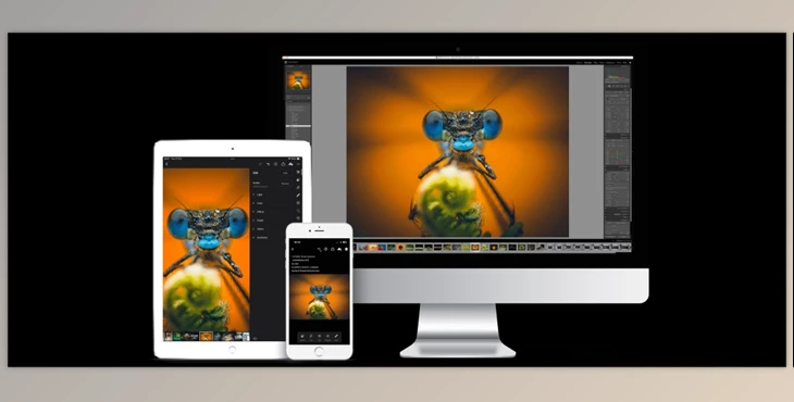 Download Stewart Wood – Macro Presets V3 (16 AI Adaptive Presets)