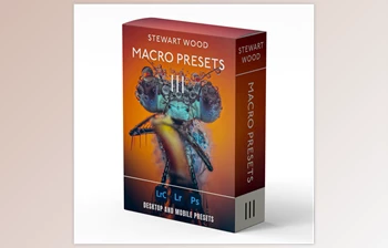 Download Stewart Wood – Macro Presets V3 (16 AI Adaptive Presets)