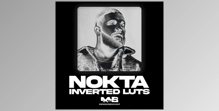 Download MoonBear – NOKTA Inverted Luts & Filters