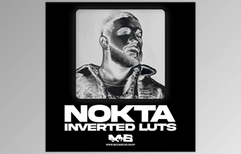 Download MoonBear – NOKTA Inverted <span class='badge badge-warning'>Luts</span> & Filters