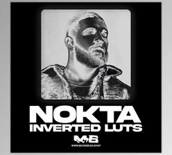 Download MoonBear – NOKTA Inverted Luts & Filters