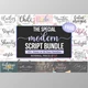 Download The Special Modern Script Font Bundle - 59 Premium Fonts