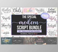 Download The Special Modern Script Font Bundle - 59 Premium Fonts