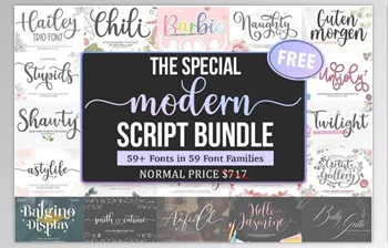 Download The Special Modern Script <span class='badge badge-warning'>Font</span> Bundle - 59 Premium Fonts