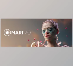 Download The Foundry Mari v7.5v2 (Win)