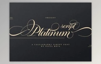 Download Platinum <span class='badge badge-warning'>Script</span> - Calligraphy <span class='badge badge-warning'>Script</span> Font