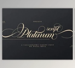 Download Platinum Script - Calligraphy Script Font