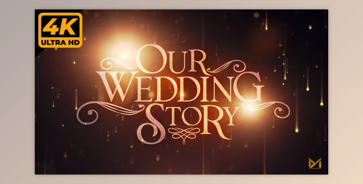 Download Wedding Memories (Videohive 31834551) - AE Project