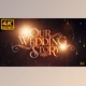 Download Wedding Memories (Videohive 31834551) - AE Project