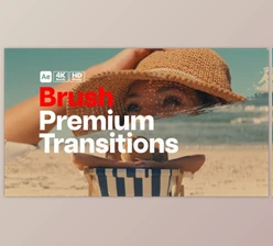 Download Premium Transitions Brush (Videohive 49870461) - AE Project