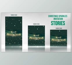 Download Light Sparkle Invitation_Stories (Videohive 49665065) - AE Project