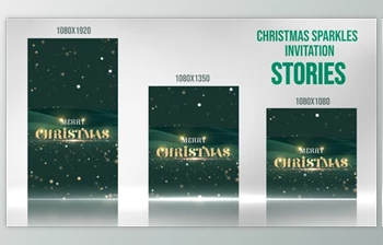 Download Light Sparkle <span class='badge badge-warning'>Invitation</span>_Stories (<span class='badge badge-warning'>Videohive</span> 49665065) - AE <span class='badge badge-warning'>Project</span>