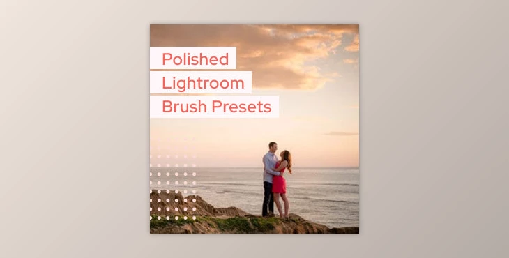 Download Colesclassroom Polished Lightroom Brush Presets