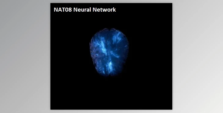 Download NAT08 Neural Network (Multi Kit)