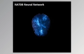 Download NAT08 Neural Network (<span class='badge badge-warning'>Multi</span> Kit)