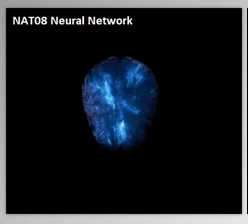 Download NAT08 Neural Network (Multi Kit)