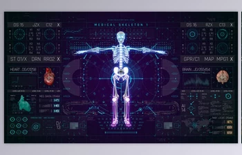 Download <span class='badge badge-warning'>HUD</span> PRO Medical Skeleton (<span class='badge badge-warning'>Videohive</span> 49921013) - AE <span class='badge badge-warning'>Project</span>