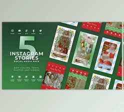 Download New Year Vertical Reel - Christmas Story (Videohive 49908017) - AE Project