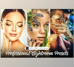 Download 50 Professional Lightroom Presets