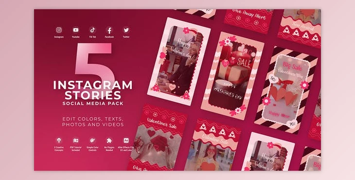 Download Valentine Day Instagram Vertical Reel (Videohive 50007491) - AE Project