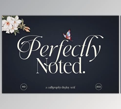 Download Perfectly Noted Font Duo