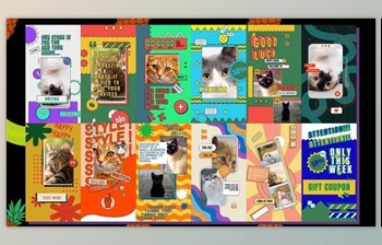 Download Trendy Vertical Stories <span class='badge badge-warning'>2</span> (Videohive 50085318) - AE Project