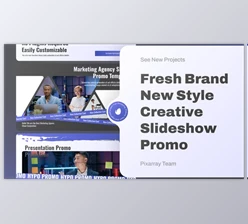 Download Modern Promo Business Presentation (Videohive 50042661) - AE Project