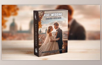 Download Premium Wedding LUTs <span class='badge badge-warning'>Mega</span> Bundle: Over 450 Professional Color Grading LUTs (Videohive 50005660)