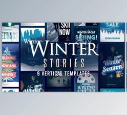 Download Winter Season Stories (Videohive 49976159) - AE Project