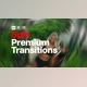 Download Premium Transitions Spin (Videohive 49923205) - AE Project