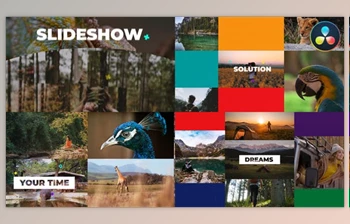 Download Multiscreen Slideshow for <span class='badge badge-warning'>DaVinci</span> <span class='badge badge-warning'>Resolve</span> (<span class='badge badge-warning'>Videohive</span> 50053858)