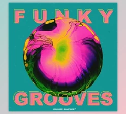 Download Banger Samples Funky Grooves
