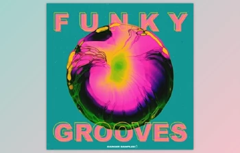 Download Banger <span class='badge badge-warning'>Samples</span> Funky Grooves