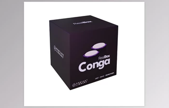 Download RealBox <span class='badge badge-warning'>Conga</span> Quinto and Tumba v1.0