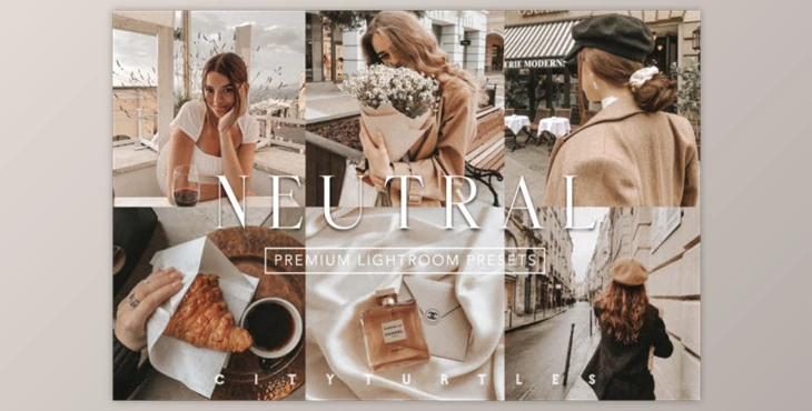 Download NEUTRAL CHIC Lightroom Presets 23820281
