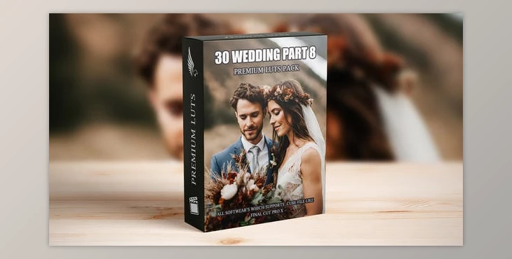 Download Advanced Cinematic LUTs for Wedding Videographers: 30 Must-Have Presets (Videohive 50092255)