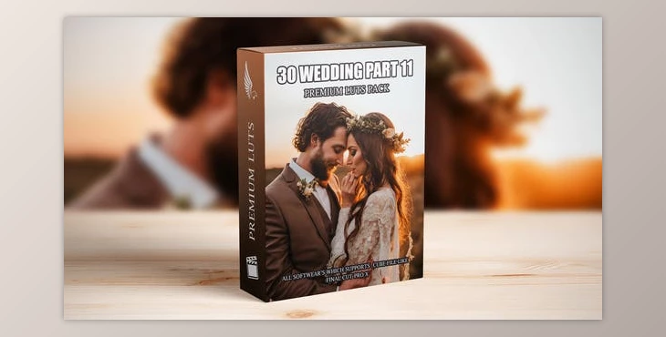 Download Best Cinematic LUTs for Wedding Videos: 30 Pro-Level Presets for Videographers (Videohive 50111355)