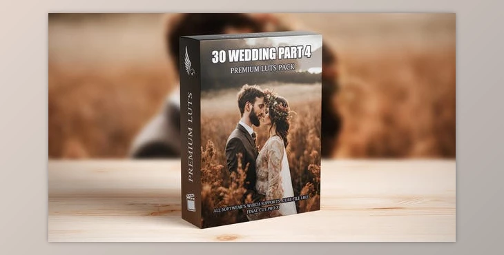 Download Exclusive Wedding Video LUTs: Top 30 Cinematic Presets for Videography Experts (Videohive 50042172)