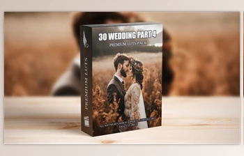 Download Exclusive Wedding Video LUTs: Top 30 <span class='badge badge-warning'>Cinematic</span> Presets for Videography Experts (Videohive 50042172)