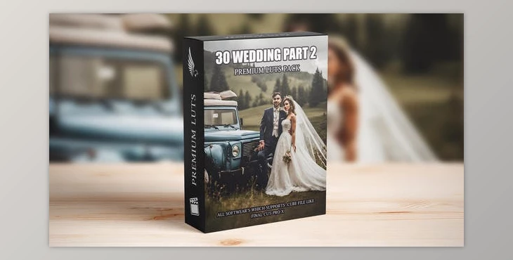 Download Elevate Your Wedding Films: 30 Professional Cinematic LUTs for Videographers (Videohive 50041509)