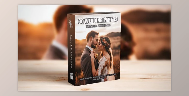 Download Cinematic Perfection: 30 Essential LUTs for Wedding Videography – Edition (Videohive 50111666)