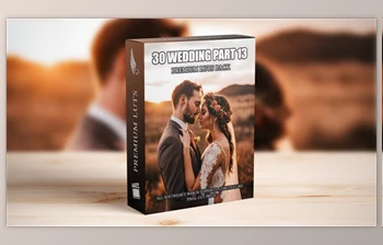 Download <span class='badge badge-warning'>Cinematic</span> Perfection: 30 Essential LUTs for Wedding Videography – Edition (Videohive 50111666)