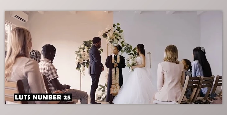 Download Cinematic Excellence: 30 Pro-Grade Wedding LUTs for Videographers (Videohive 50092234)