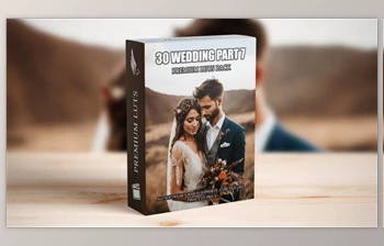 Download <span class='badge badge-warning'>Cinematic</span> Excellence: 30 Pro-Grade Wedding LUTs for Videographers (Videohive 50092234)